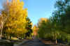 fall colors and sun in the village.jpg (252470 bytes)