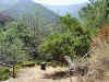 mtnview_fromcabin.jpg (83196 bytes)