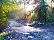 Road over stream