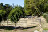 corral.jpg (77306 bytes)