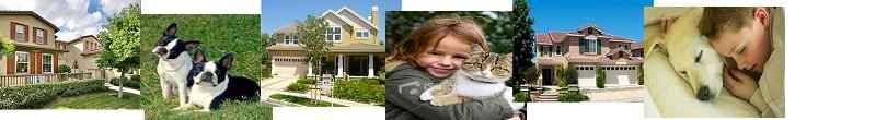 Pet friendly lease home search page. Find homes for lease in South Orange County that allow pets.